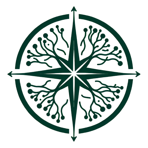 Midnight Mushroom Map